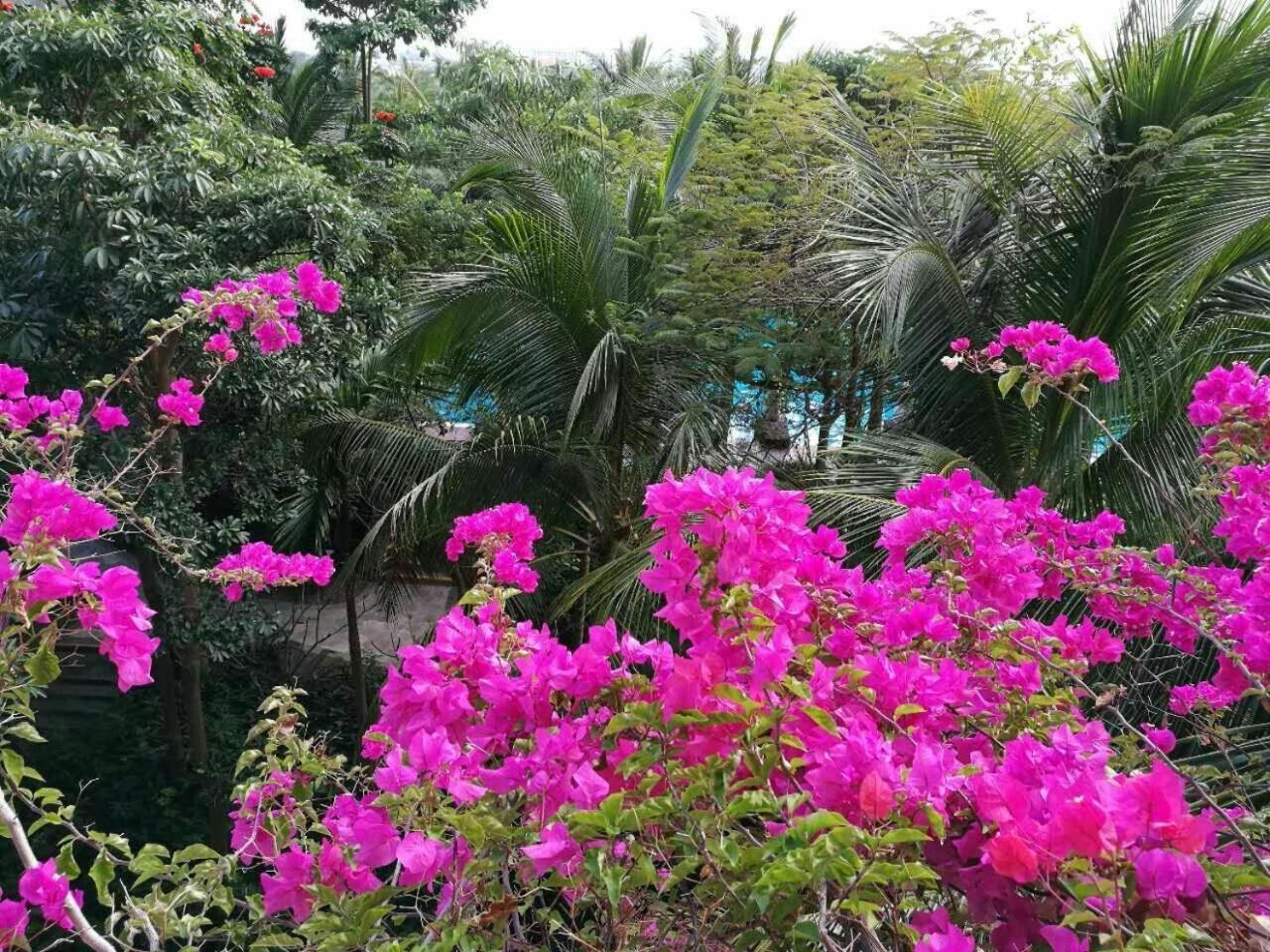 Stony Brook Villa Jianguo Resort Sanya Exterior foto